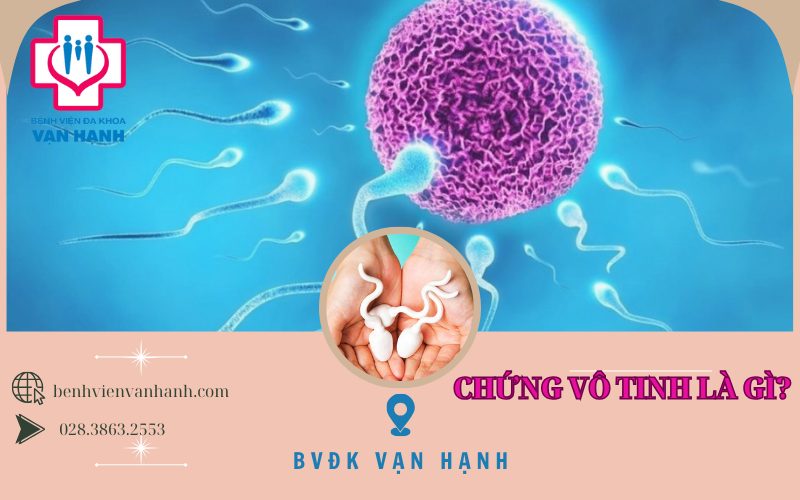 Nguyên nhân nào khiến nam giới vô tinh?